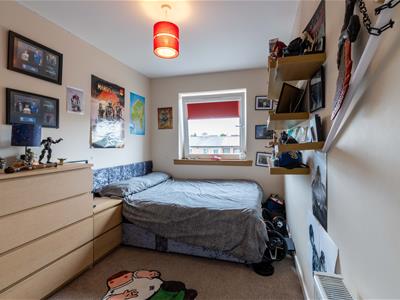 Picture 13